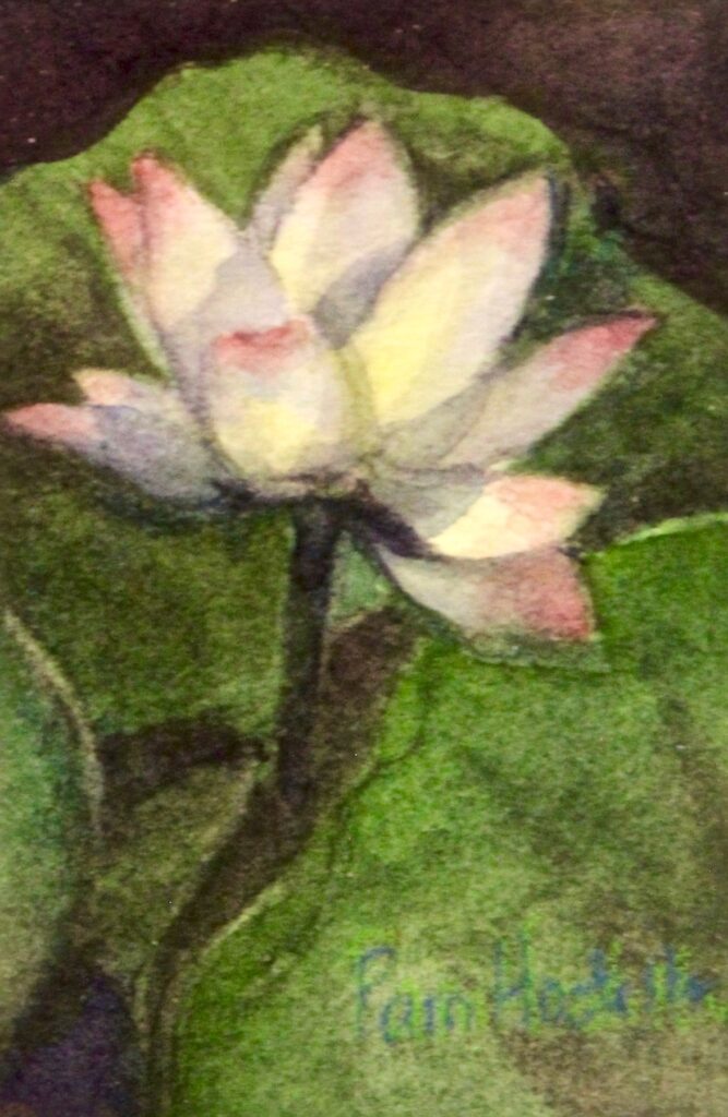 Pam Hostetler: Lotus