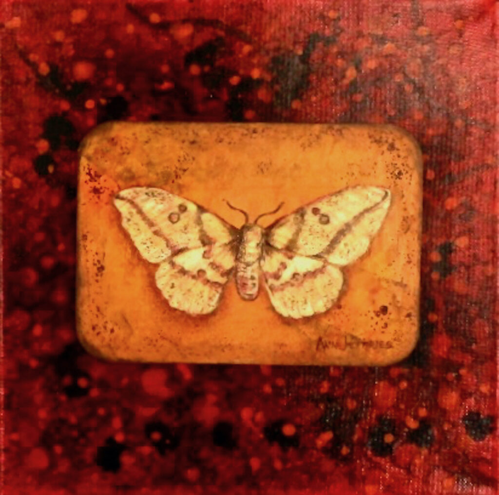 Ann Jeffries: Moth #5