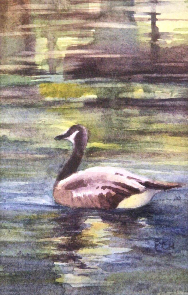 Pam Hostetler: Out for a Swim