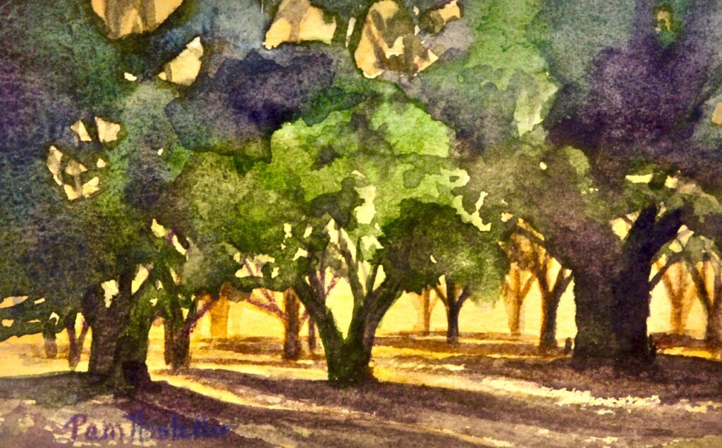 Pam Hostetler: Pecan Grove