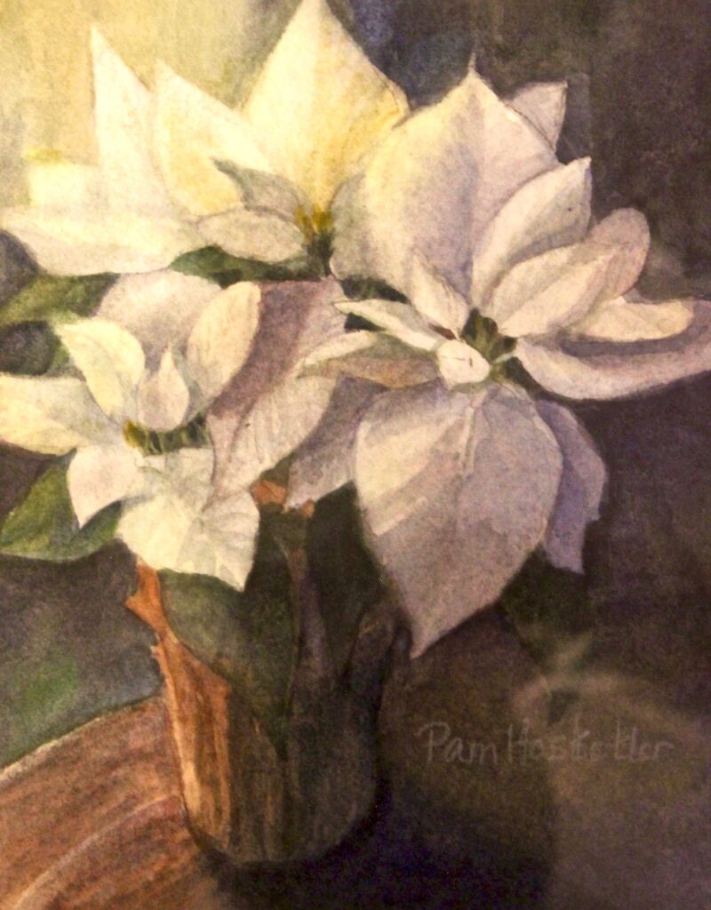 Poinsettias