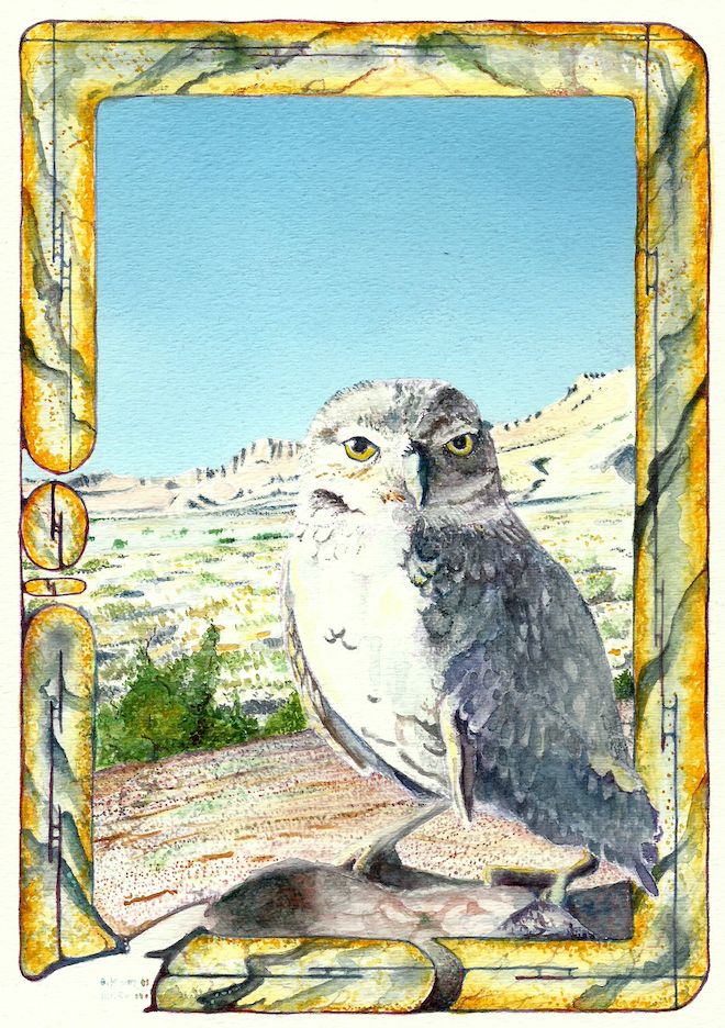 A. Leon Miler: Burrowing Owl 1
