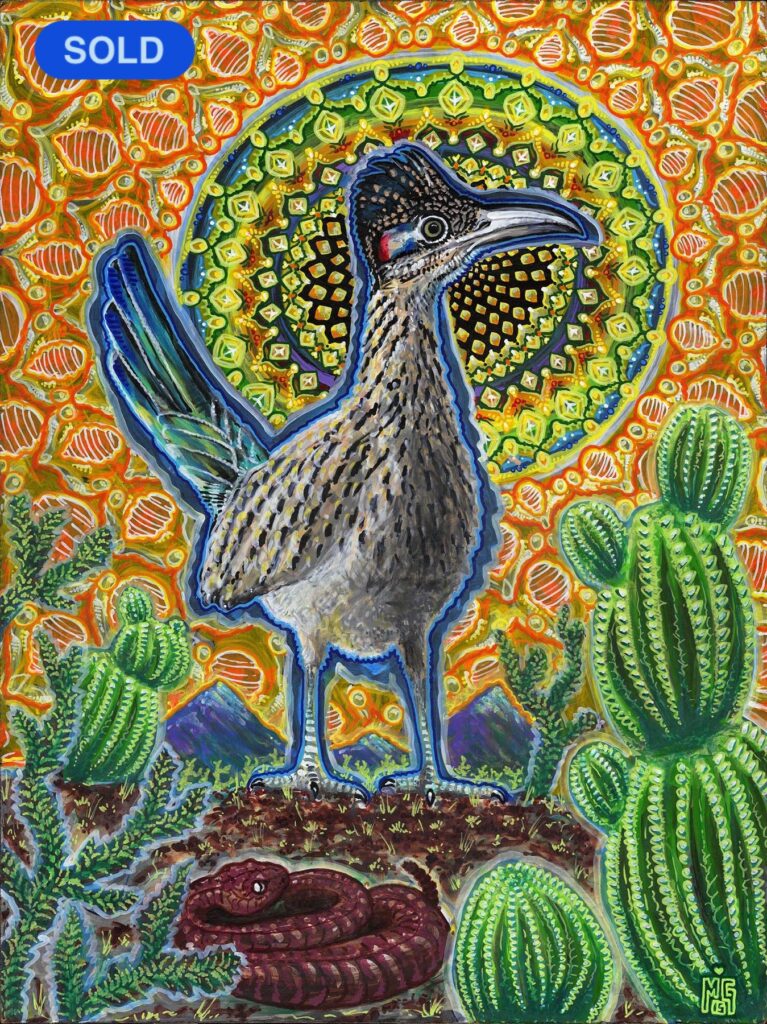 SOLD - Michael Garfield: Attention (Greater Roadrunner)