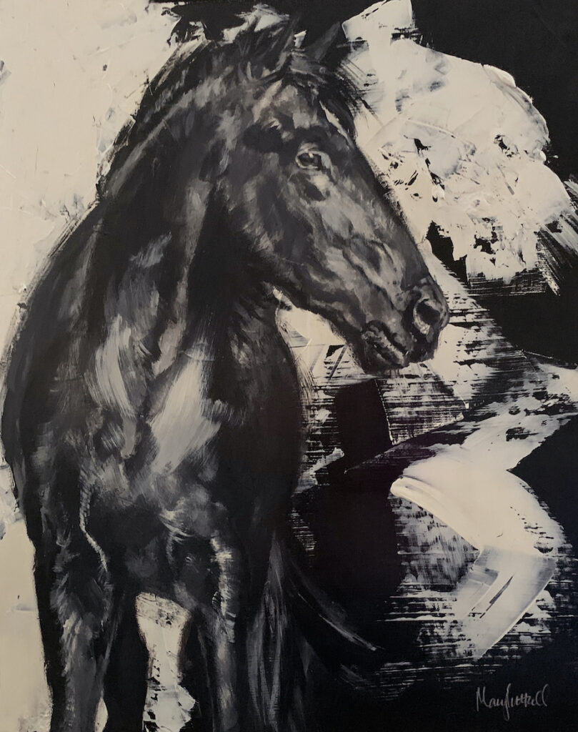 Mary Luttrell: Black Colt