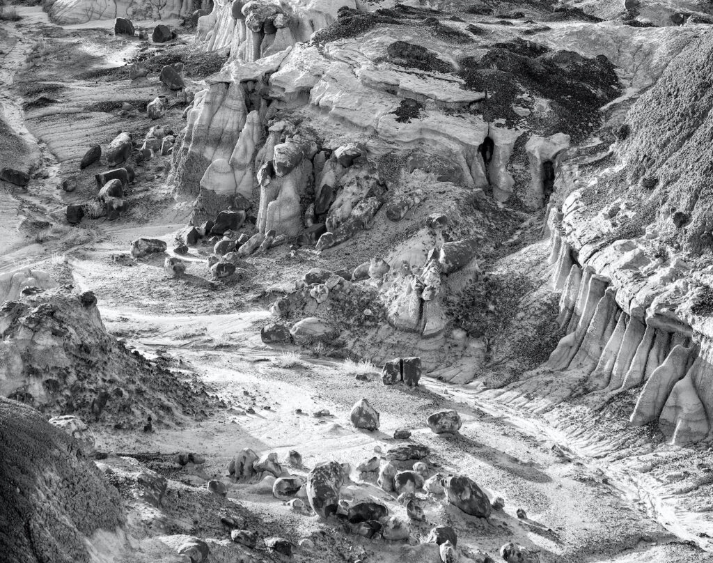 Carl Bogenholm: Canyon and Me