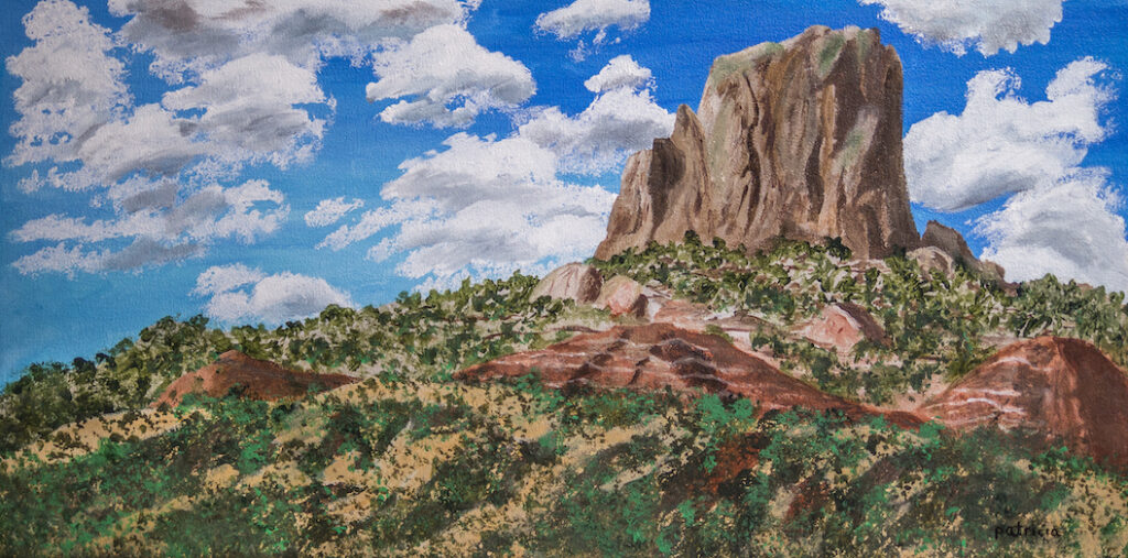 Patricia Gould: Desert Colors