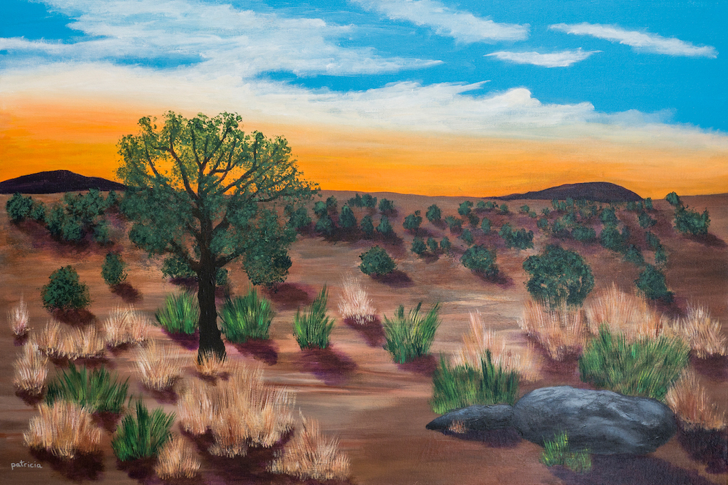 Patricia Gould: Desert Dawn