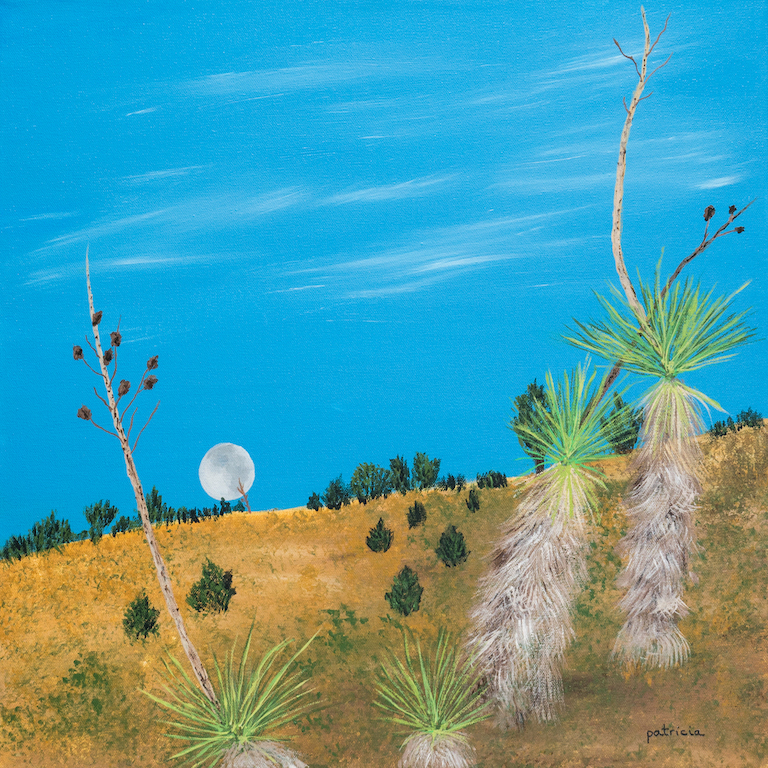 Patricia Gould: Desert Moon