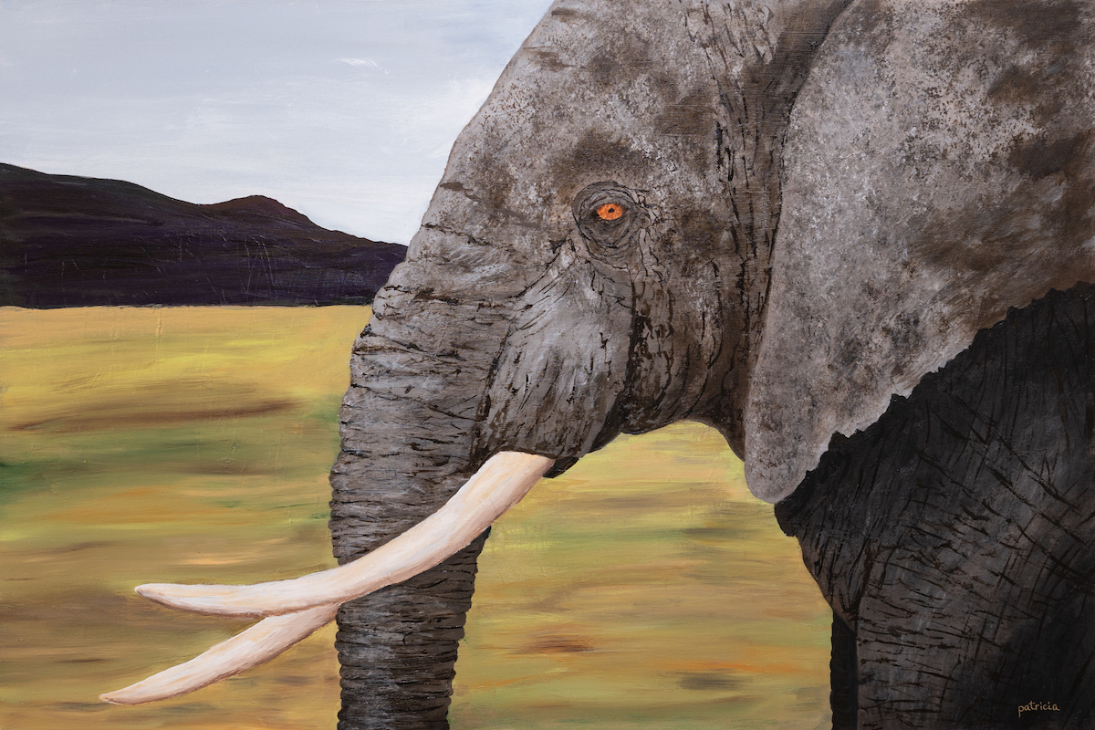 Patricia Gould: Jewel of Ngorongoro