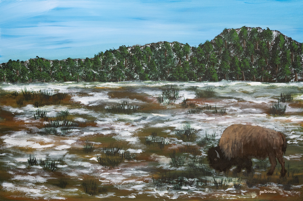 Patricia Gould: Lone Bison