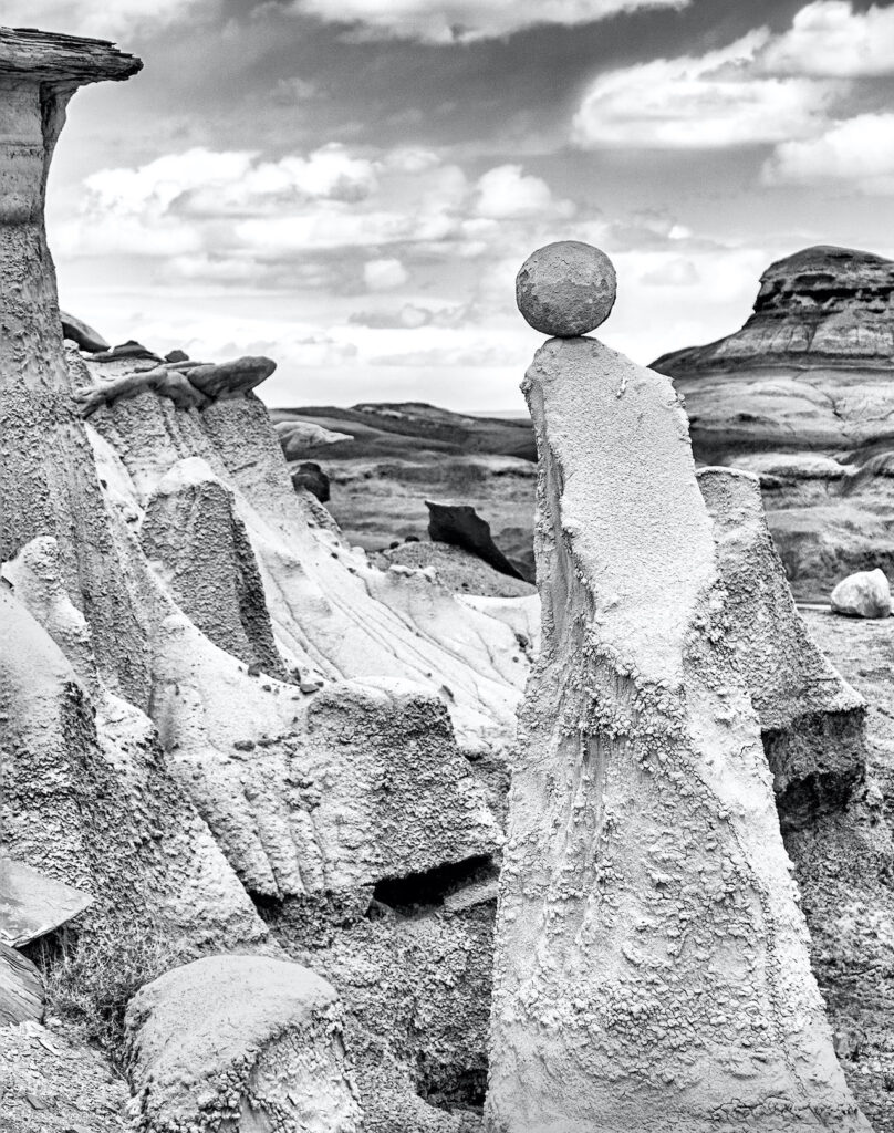 Carl Bogenholm: Nature&#039;s Wit