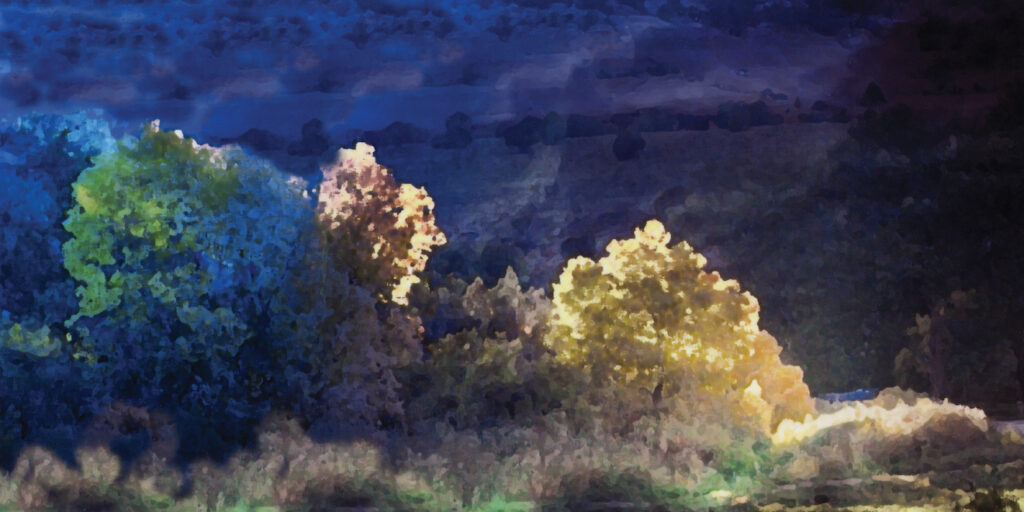 Joan Fenicle: Last Light Kisses the Canyon