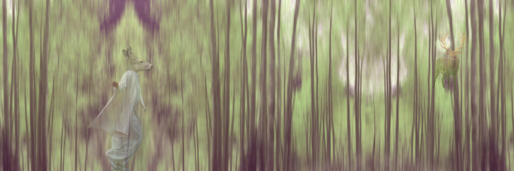 Joan Fenicle: Lost in a Forest Dream