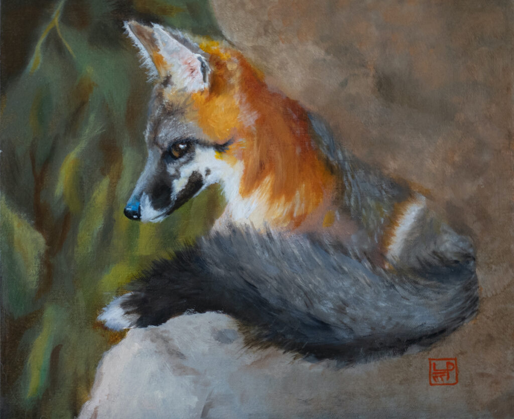Lynne Patton: Red Fox Resting
