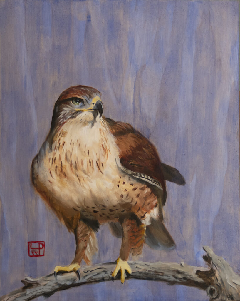Lynne Patton: Red-tailed Hawk