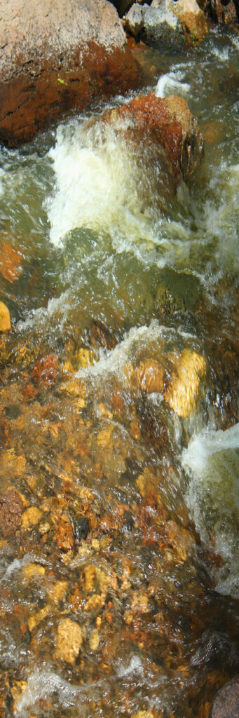 Joan Fenicle: Running Water
