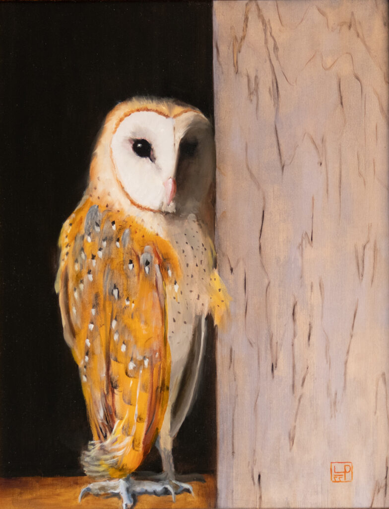 Lynne Patton: Shy Owl