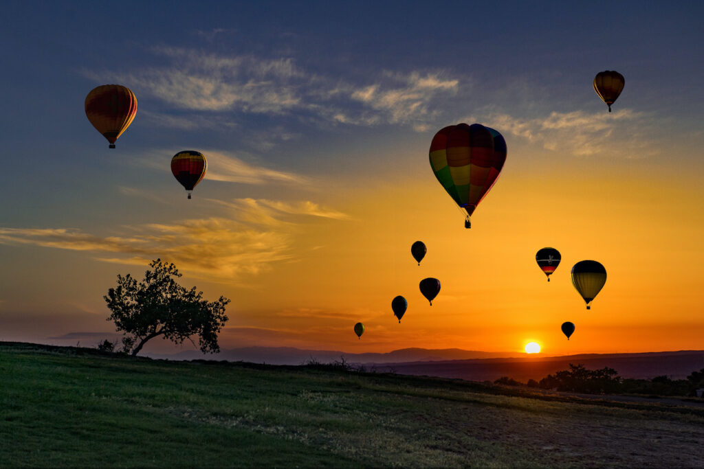 Dennis Chamberlain: Sunrise Silhouettes