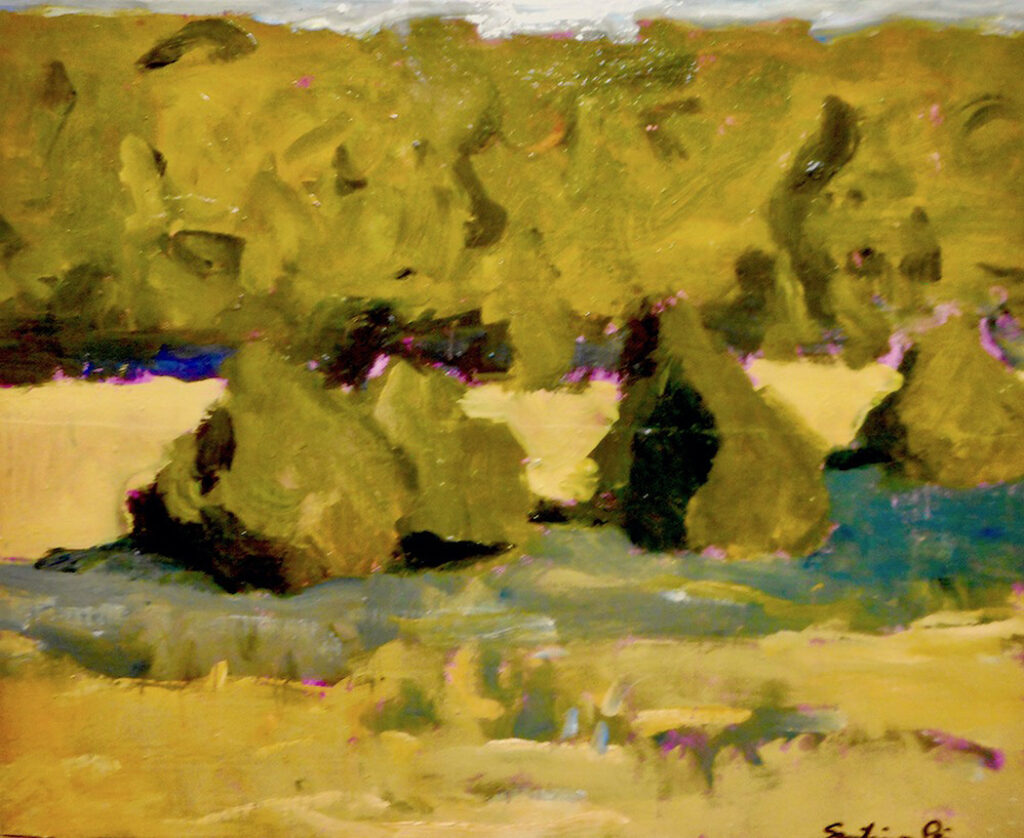 Santiago Perez: The Nice Meadow
