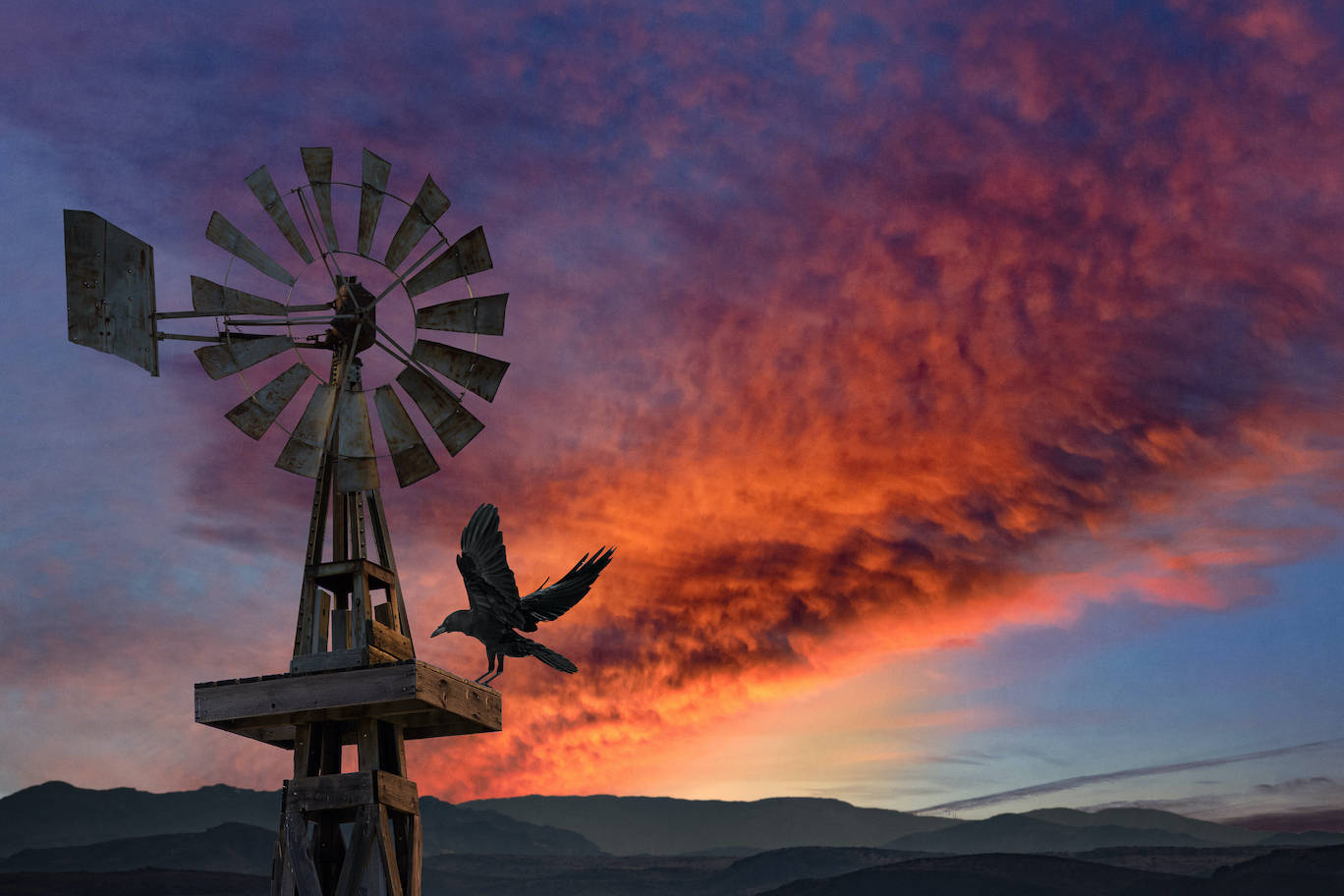 Dennis Chamberlain:  The Raven's Windmill