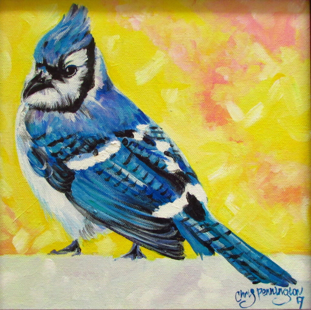 Chris Pennington: Blue Jay in the Snow