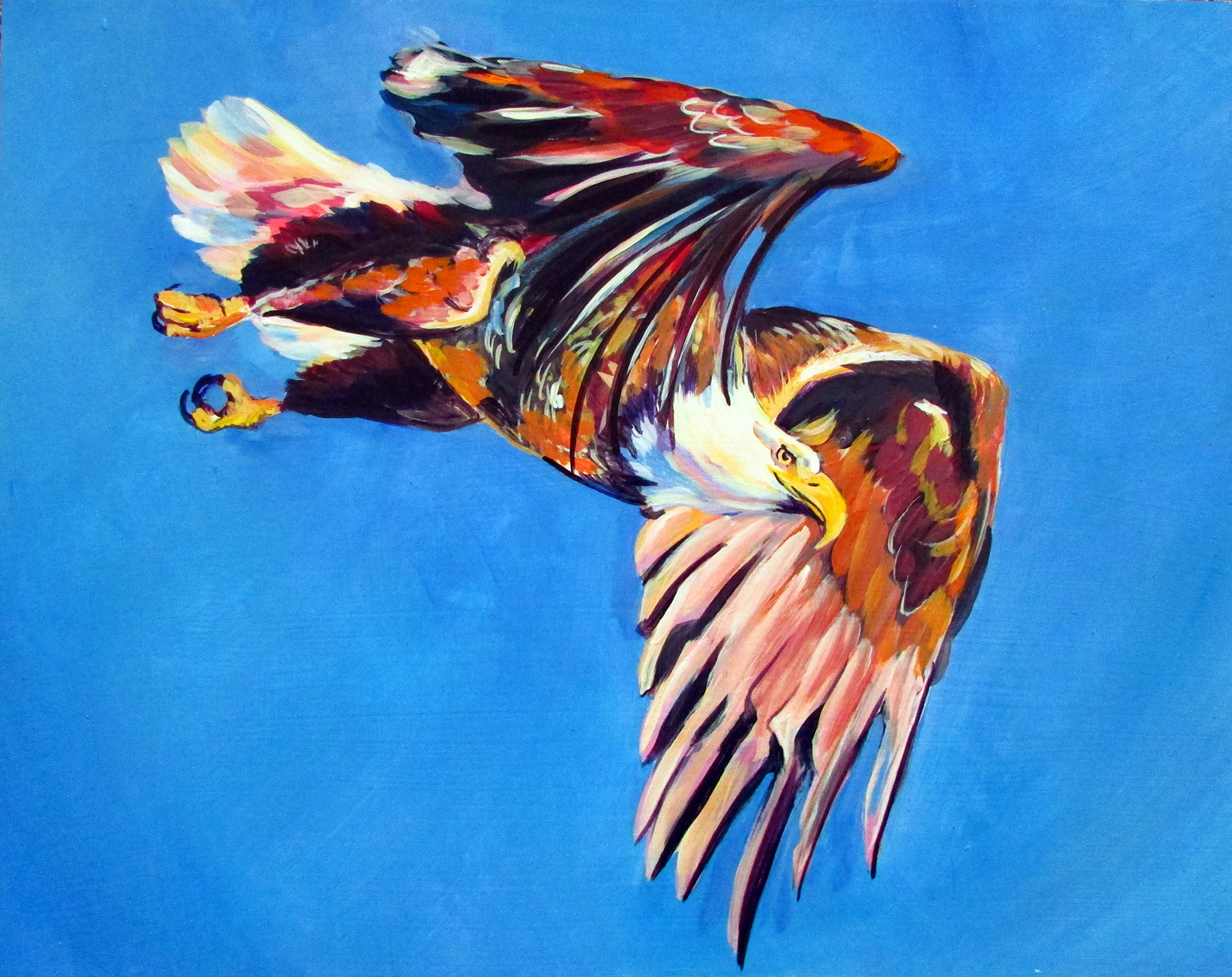 Chris Pennington: Eagle Aloft