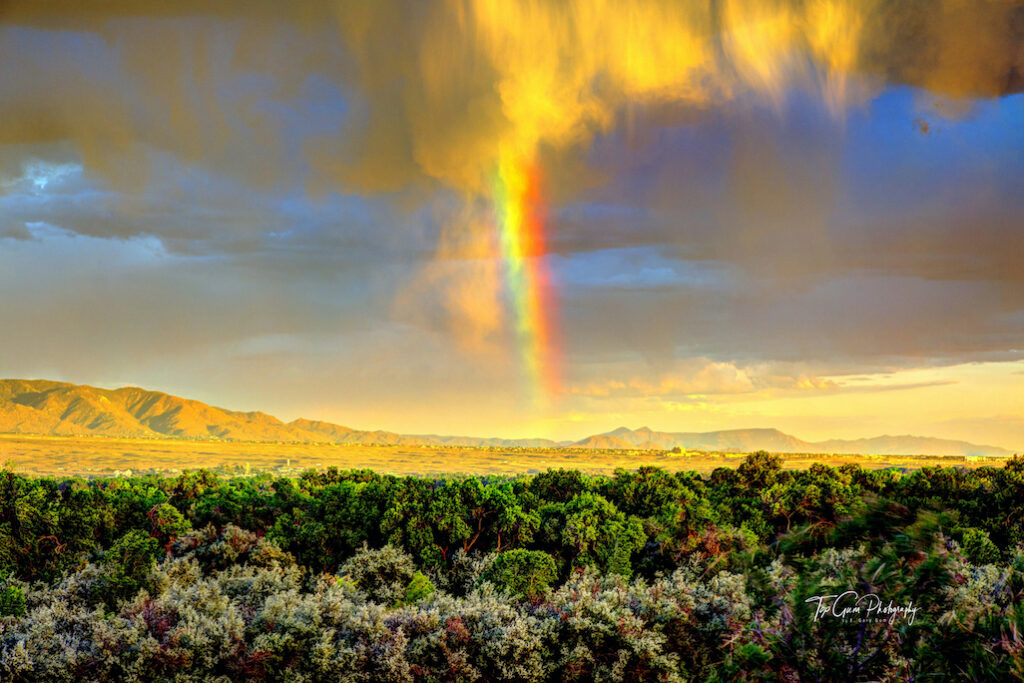 E. Gary Gum: Rainbow Tornado