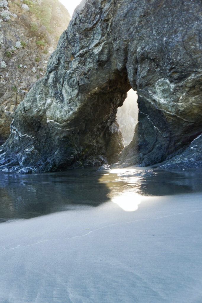 Irene Garden - Reflection Series: Let There Be Light