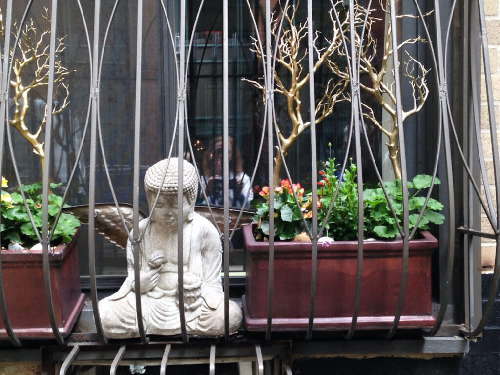 Irene Garden - Reflection Series: Window Buddha