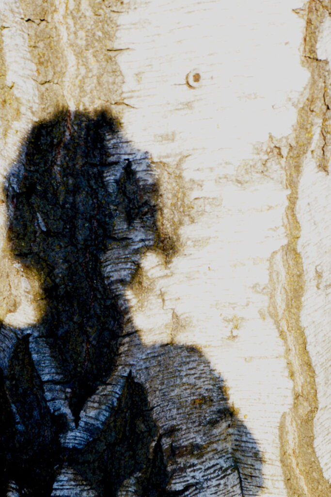 Irene Garden - Shadow Series: Bark Woman