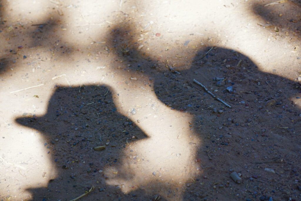 Irene Garden - Shadow Series: Friends On The Path