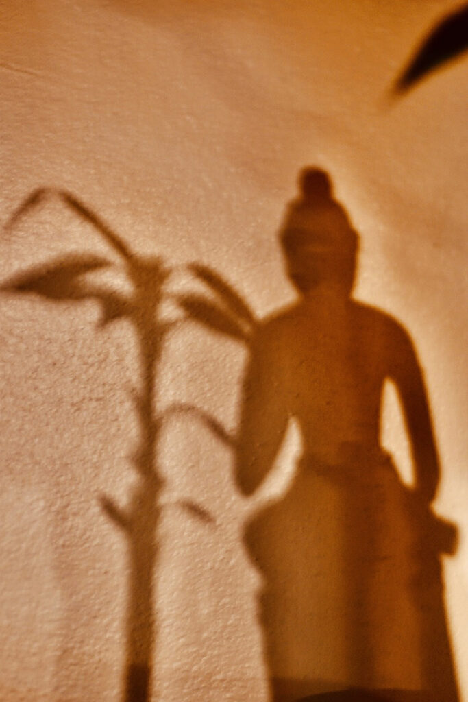 Irene Garden - Shadow Series: In Silence We Hear