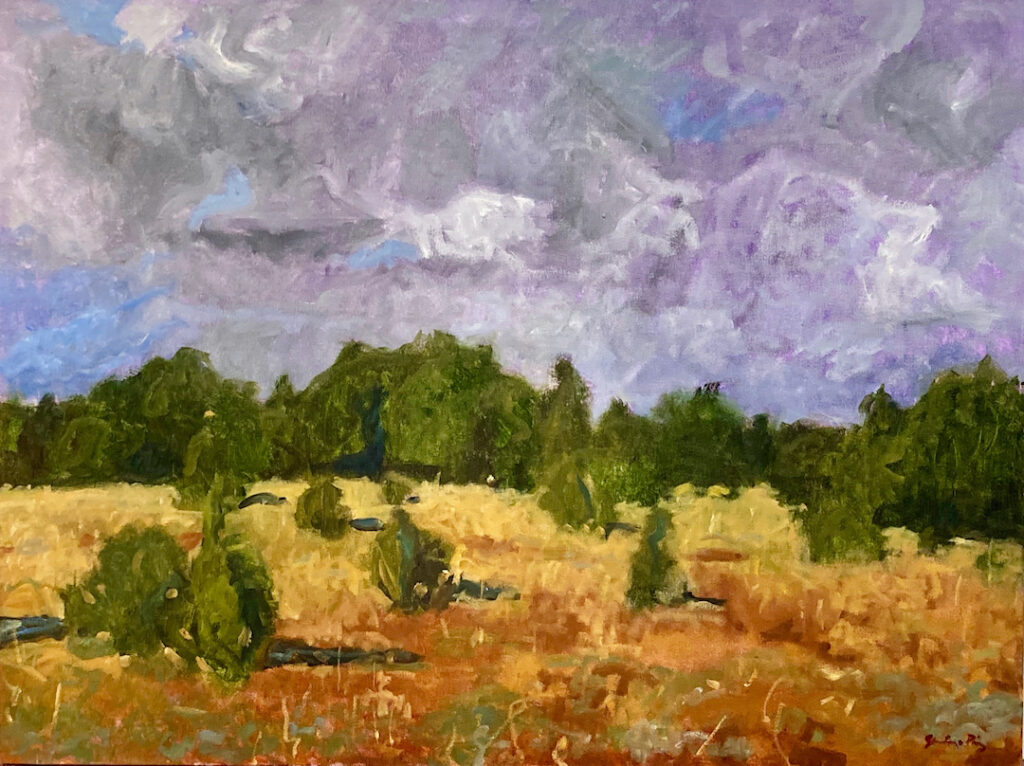 Santiago Pérez: Southwestern Skies