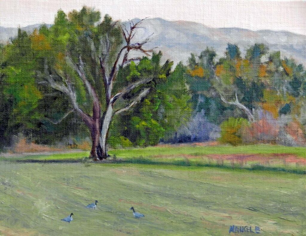 James Naugle: Albuquerque Open Space Afternoon Light