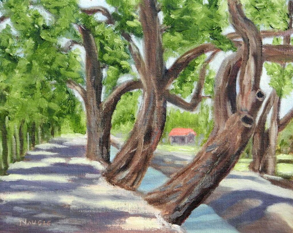 James Naugle: Ancient Acequia at Guitterez Hubbell House