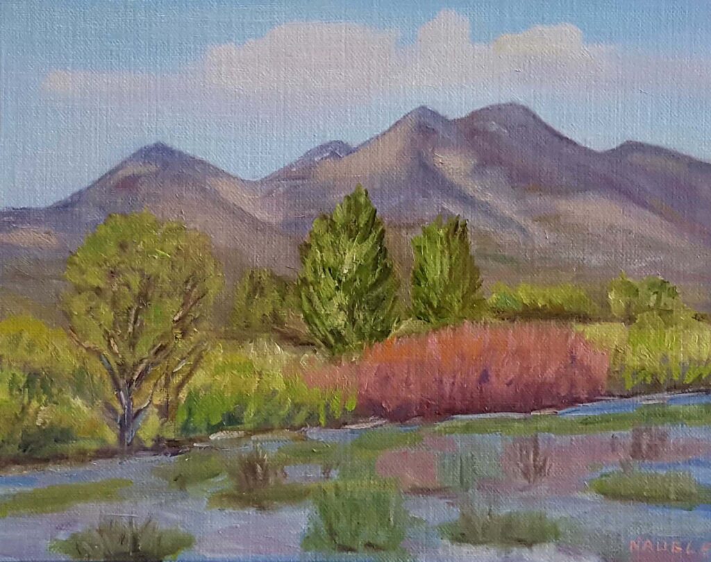 James Naugle: Bosque Del Apache Spring Colors