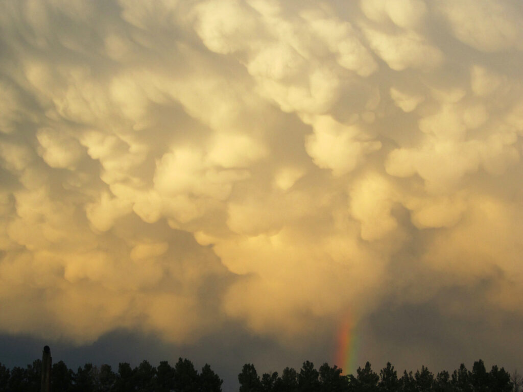 David D. Sorensen: Cotton Ball Monsoon