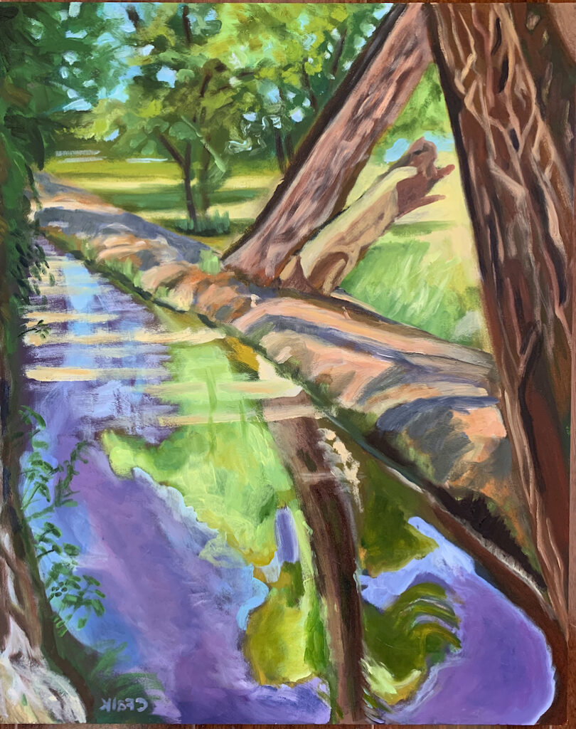 Connie Falk: Hubbell House Acequia