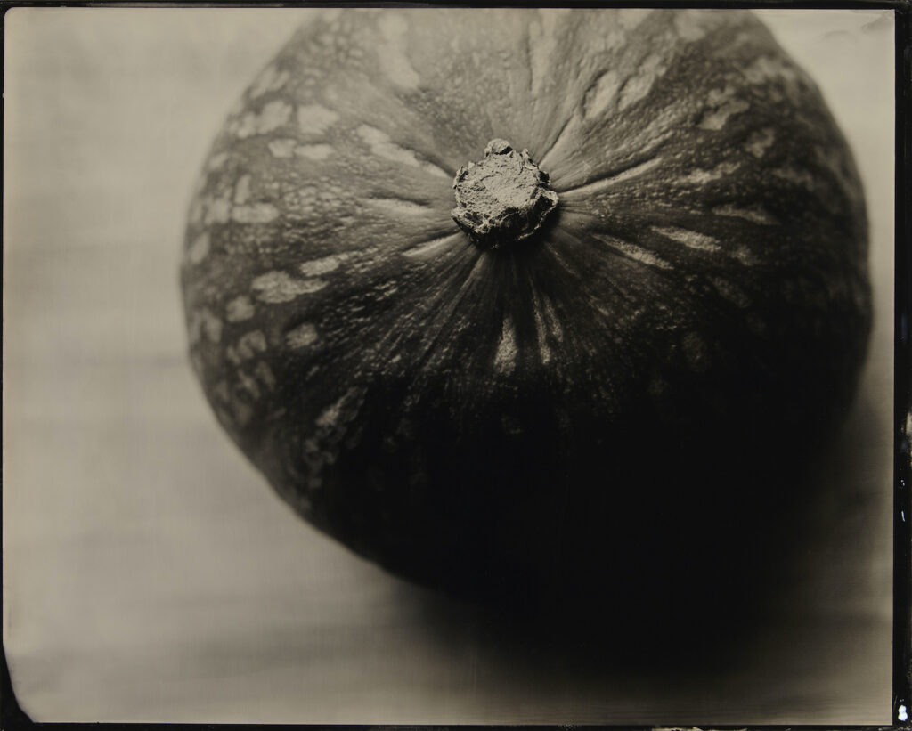 Kevin Black: Kabocha Squash Outside