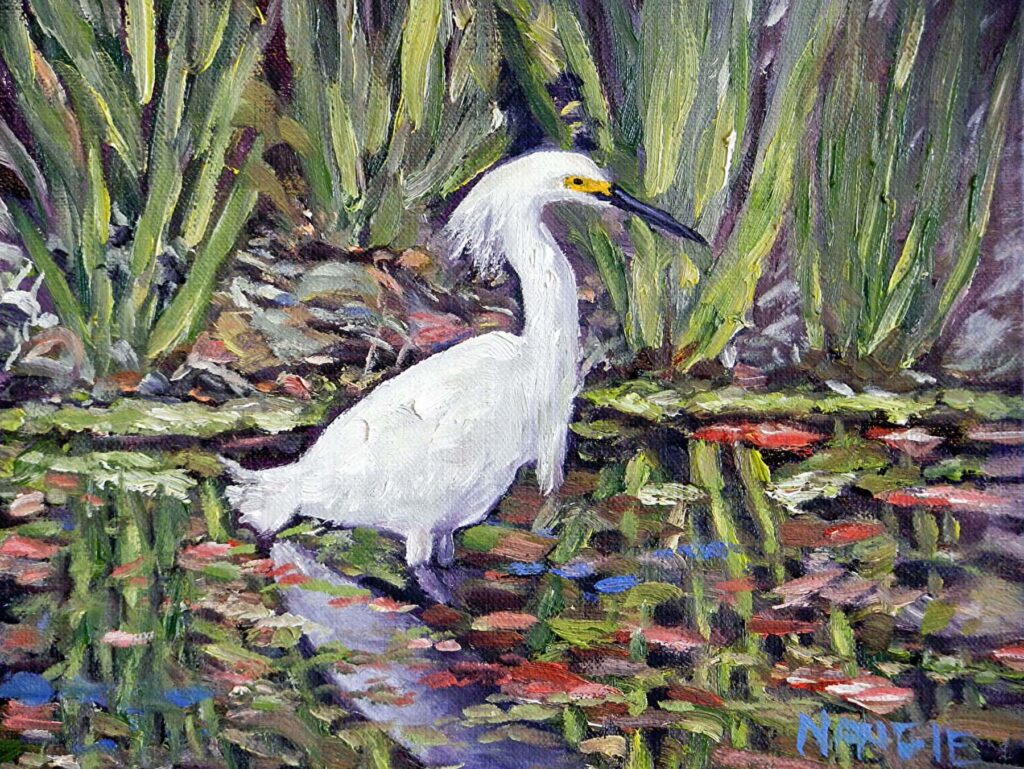 James Naugle: Snowy Egret at the BioPark