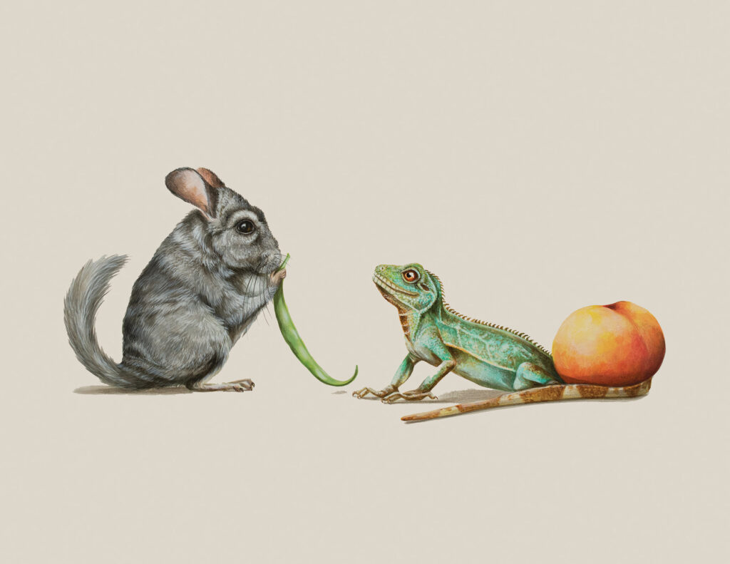 Tricia George: The Chinchilla and The Lizard