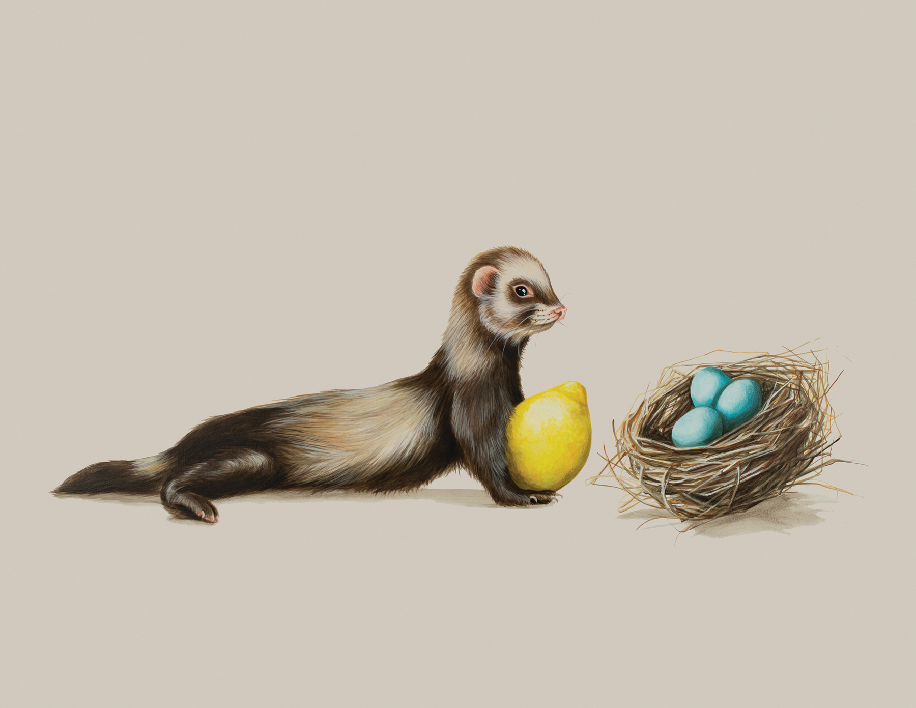 Tricia George: The Ferret and The Three Blue Eggs