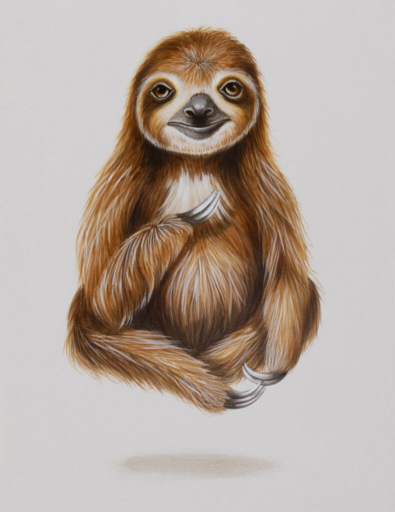 Tricia George: The Sloth