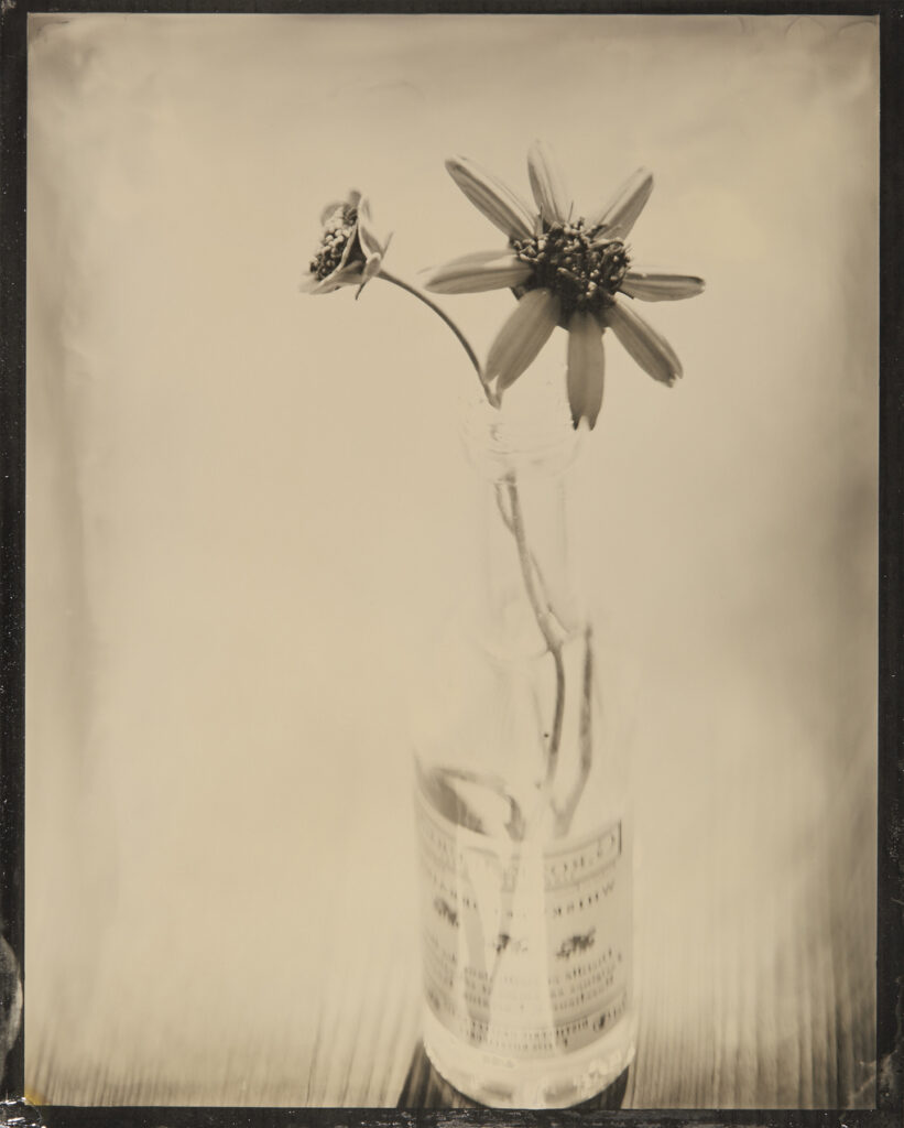 Kevin Black: Chocolate Flower & Bottle
