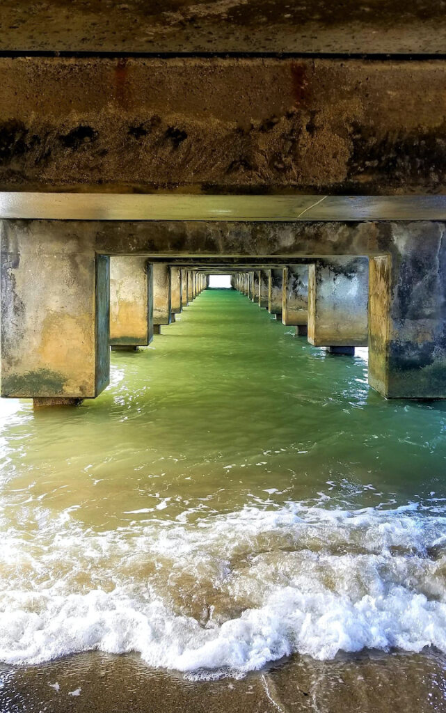 Jen Jaciw: Hanalei Pier