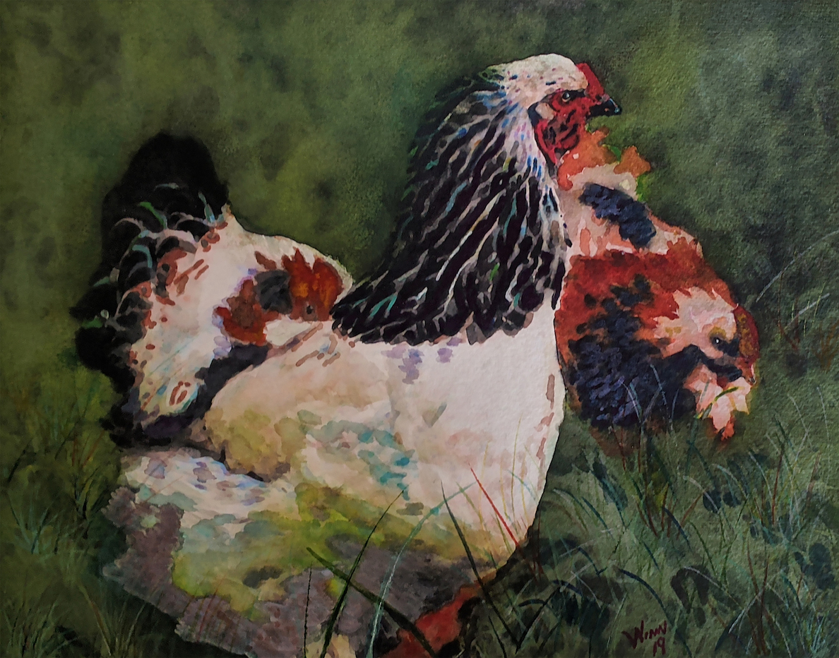 Penny Winn: Chickens in the Yard