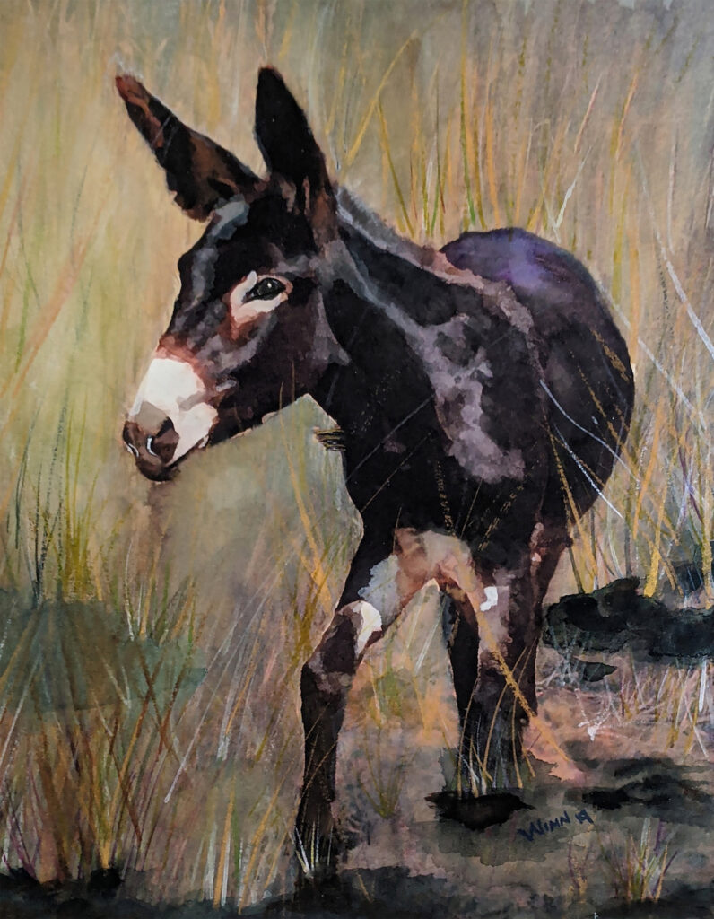 Penny Winn: Donkey Visitor