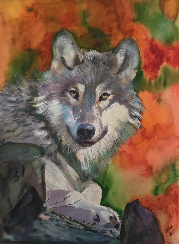 Penny Winn: El Lobo
