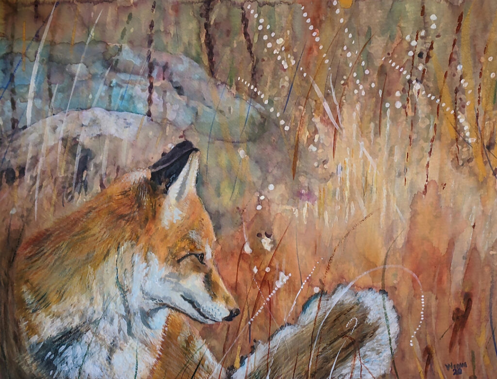 Penny Winn: Fox Portrait