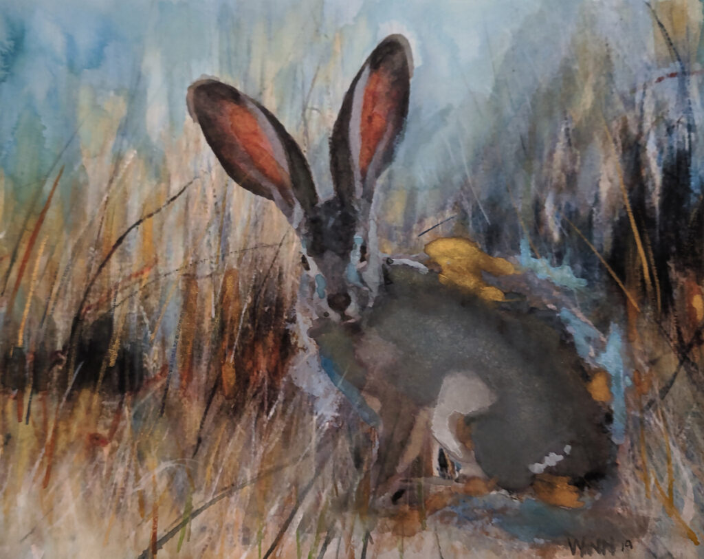 Penny Winn: Hare in the Grass